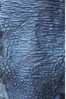 Photo Textures of Animals Skin